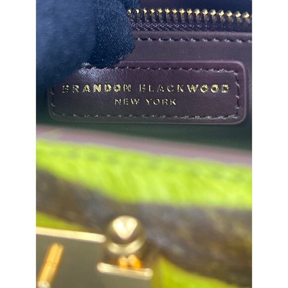 Brandon Blackwood Jordi Bag in Green Zebra Ponyhair with Brass Hardware - Picture 3 of 9